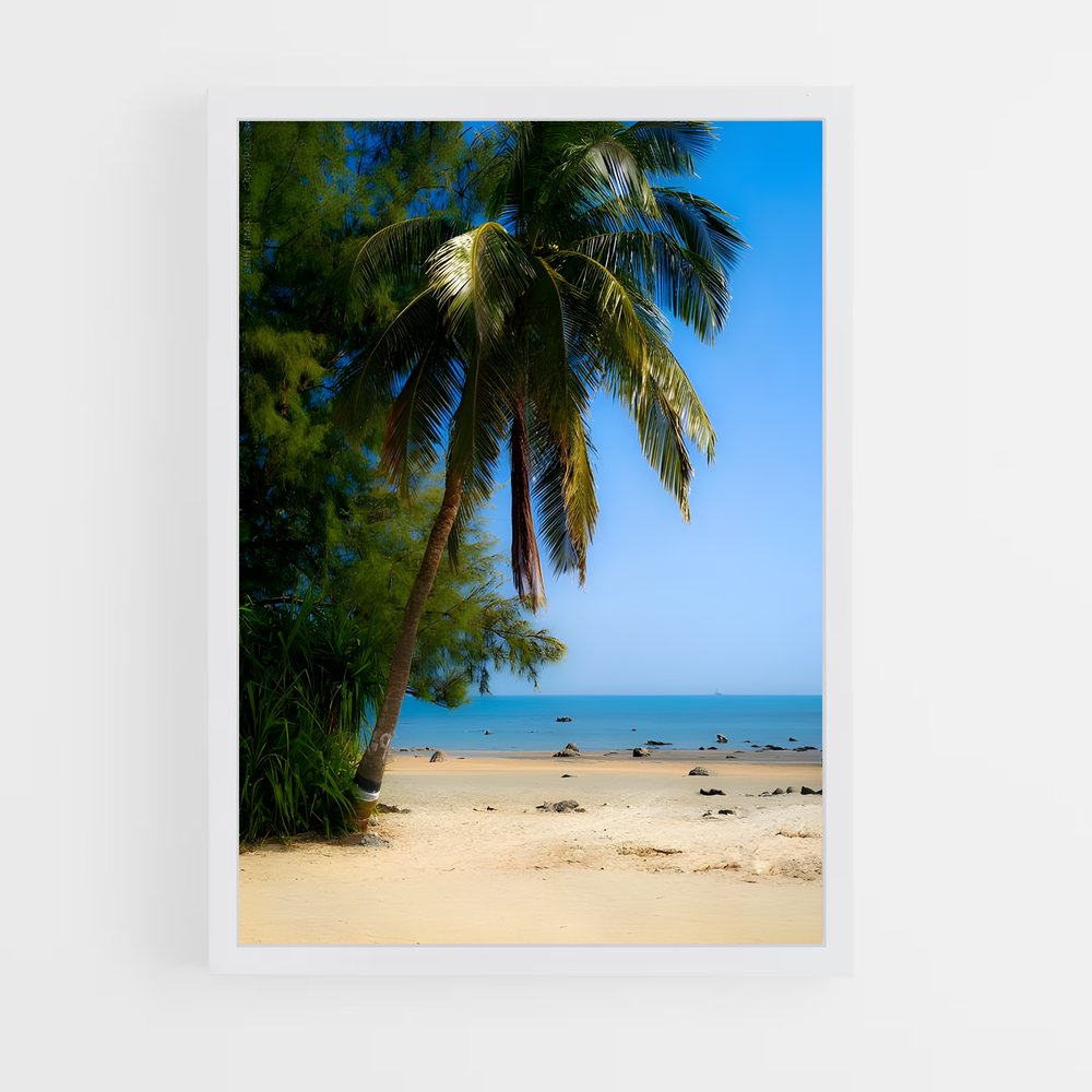 ap-cox s bazar-14 cadre Blanc