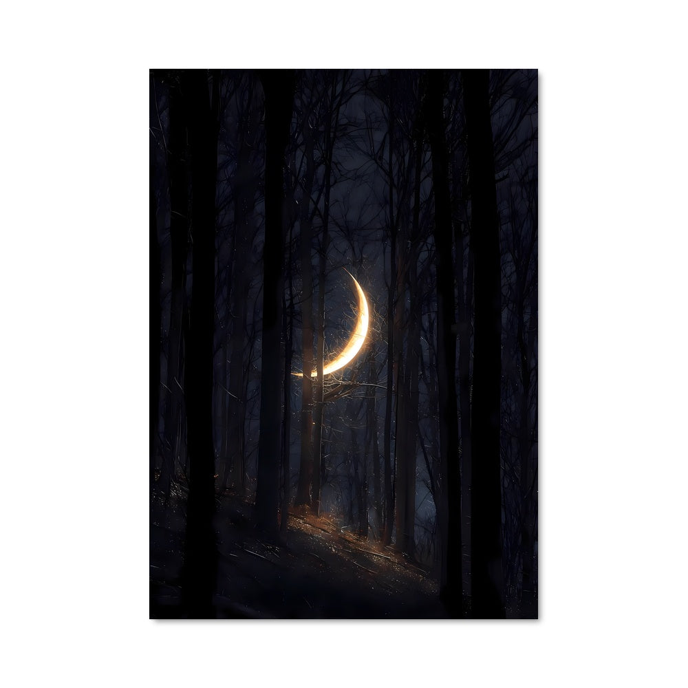 Poster Lune Éveillée