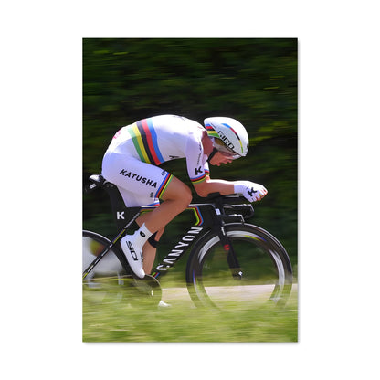 Poster Piste de Dauphin