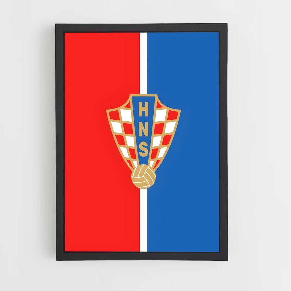 ap-croatia national football team-4 cadre Noir