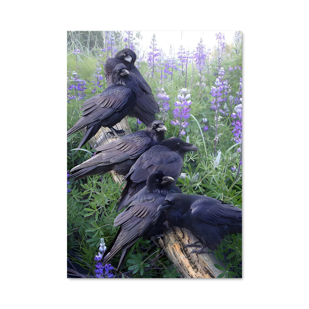 Poster Crows & Blooms