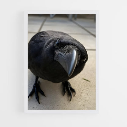 ap-crow-8 cadre Blanc