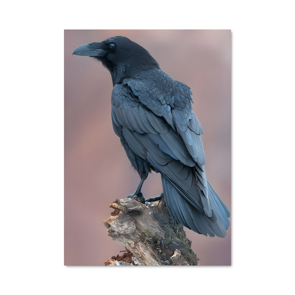 Poster Crow 83433