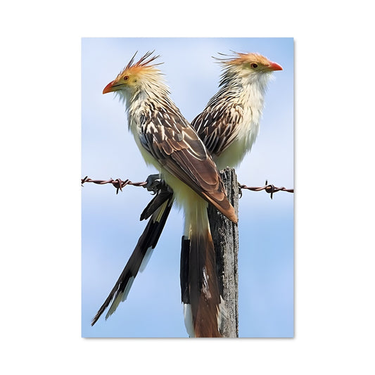 Poster La Barrière des Oiseaux
