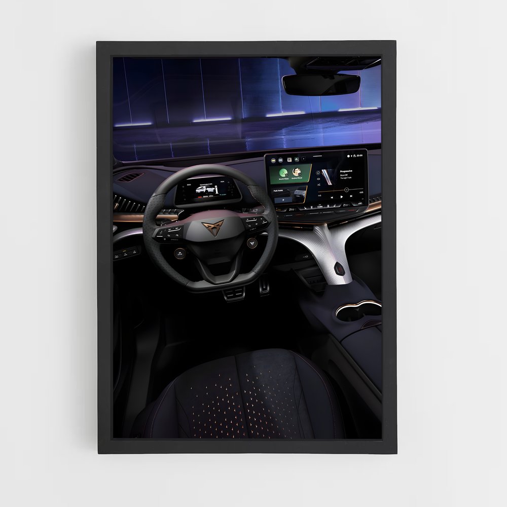 ap-cupra-10 cadre Noir