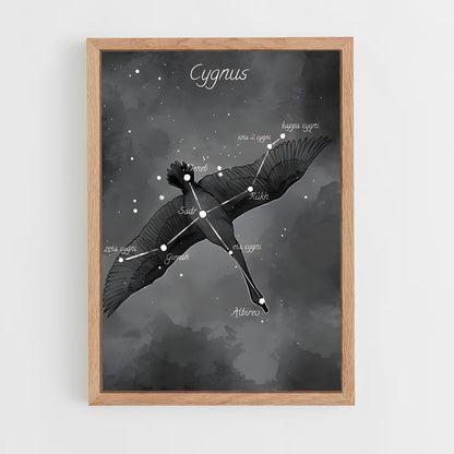 ap-cygnus-1 cadre Bois clair
