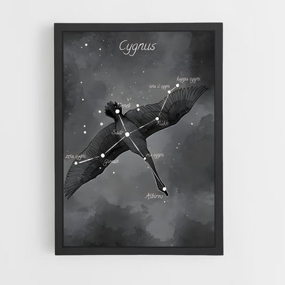 ap-cygnus-1 cadre Noir