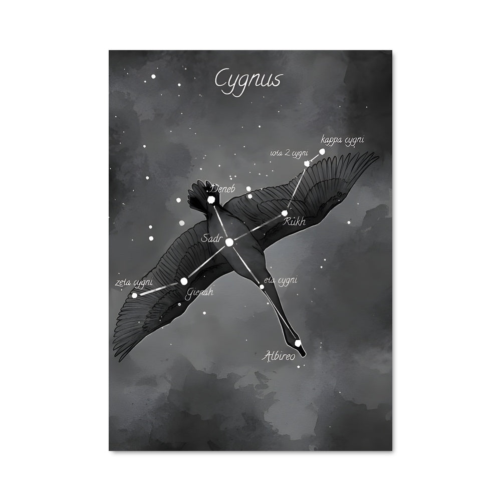 Poster Cygnus 97261