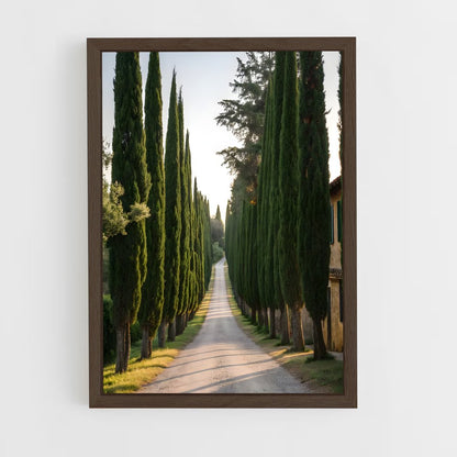 ap-cypress-2 cadre Bois foncé