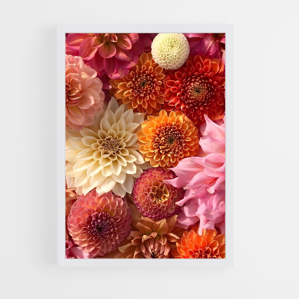 ap-dahlia-4 cadre Blanc