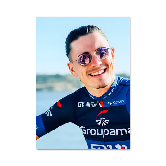 Poster Le Sourire de Gaudu