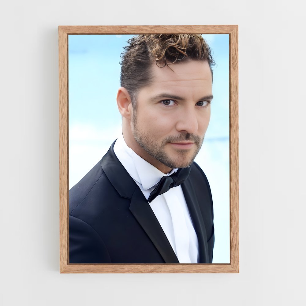 ap-david bisbal-5 cadre Bois clair