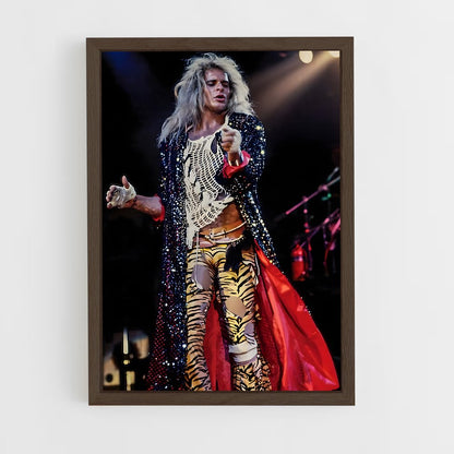 ap-david lee roth-2 cadre Bois foncé