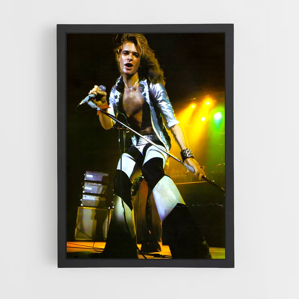 ap-david lee roth-4 cadre Noir