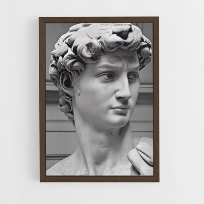 ap-david michelangelo-6 cadre Bois foncé