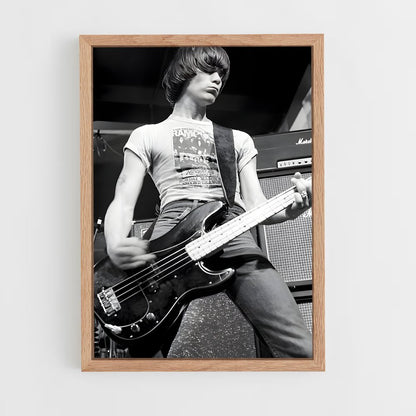 ap-dee dee ramone-3 cadre Bois clair
