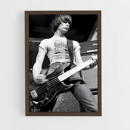 ap-dee dee ramone-3 cadre Bois foncé
