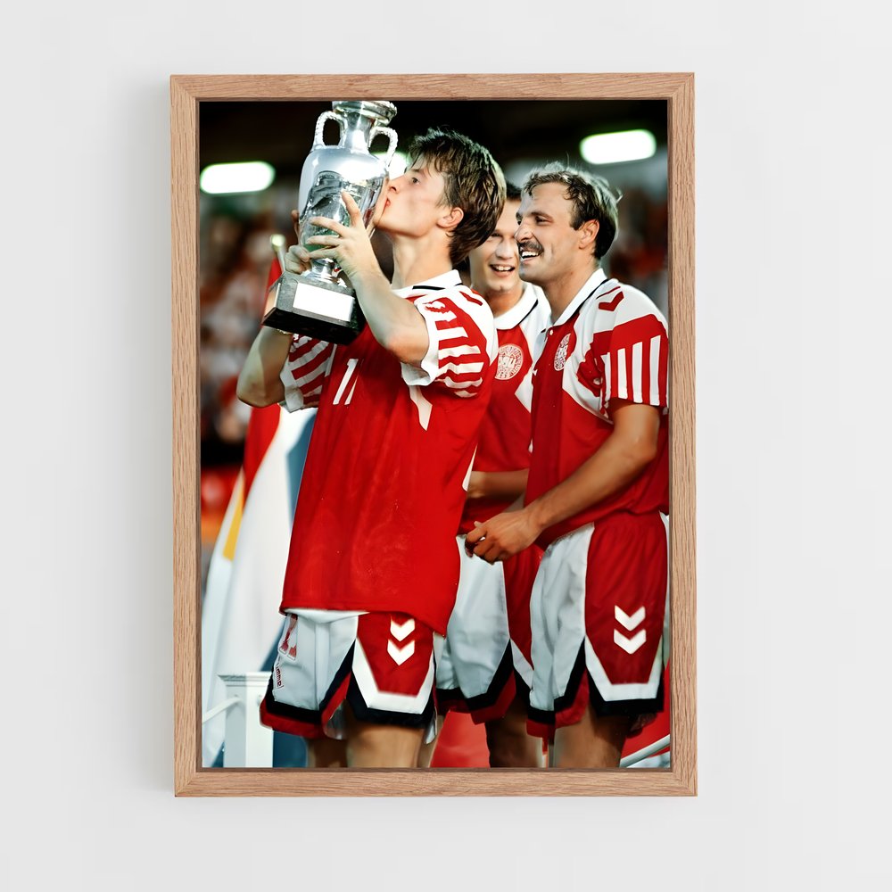 ap-denmark national football team-2 cadre Bois clair