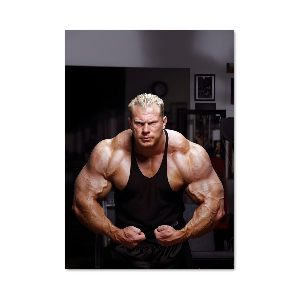 Poster Force Brute