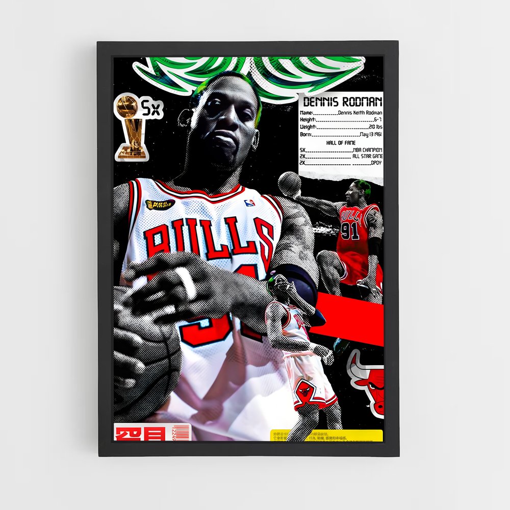 ap-dennis rodman-2 cadre Noir