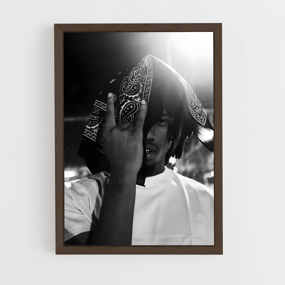 ap-denzel curry-1 cadre Bois foncé