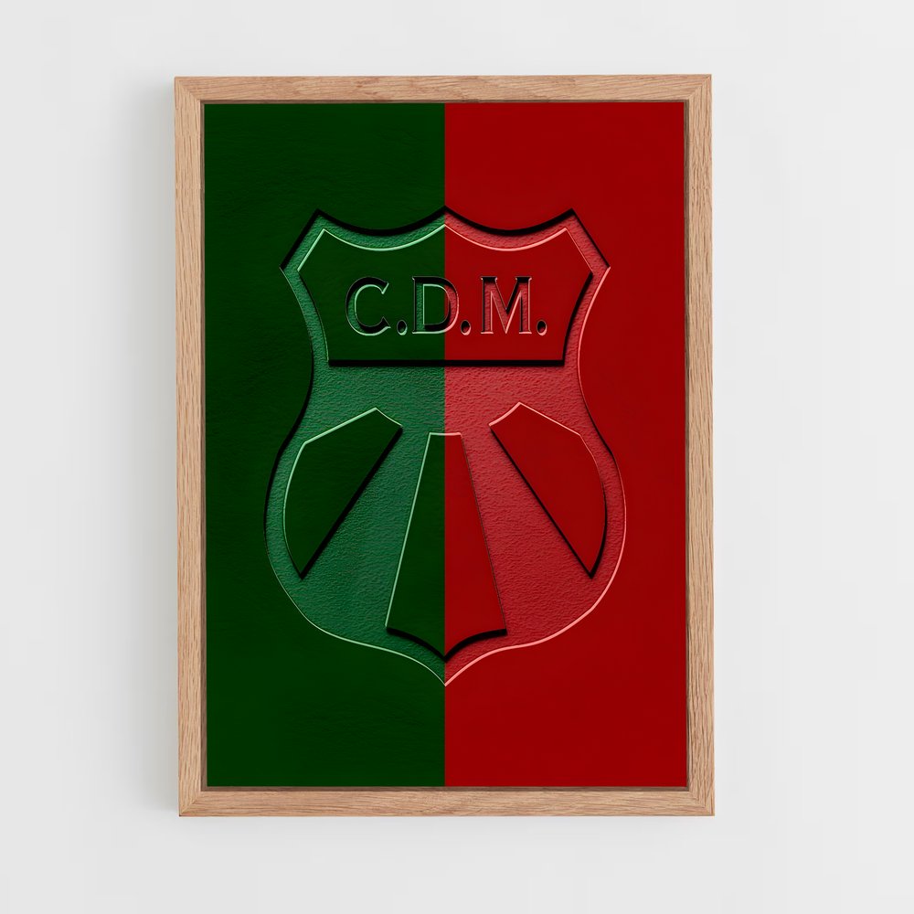 ap-deportivo maldonado-1 cadre Bois clair