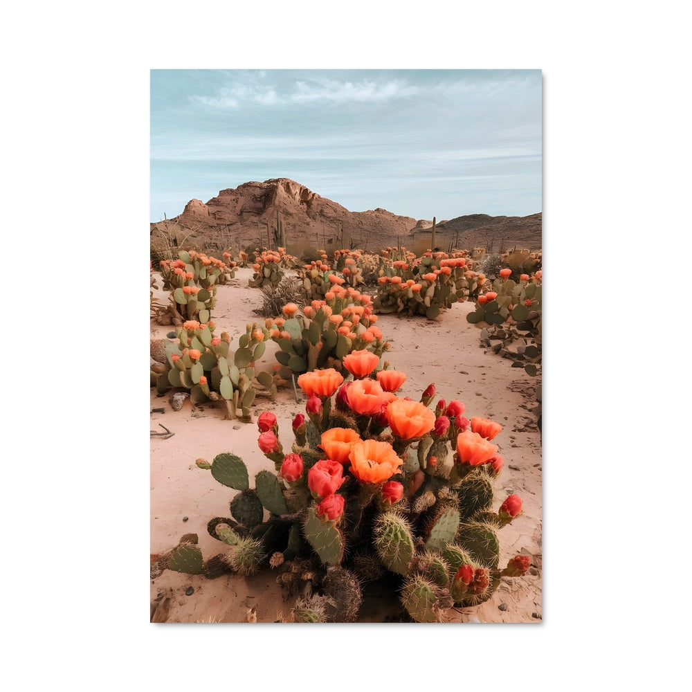 Poster Cactus Éclatant