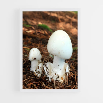 ap-destroying angel-1 cadre Blanc