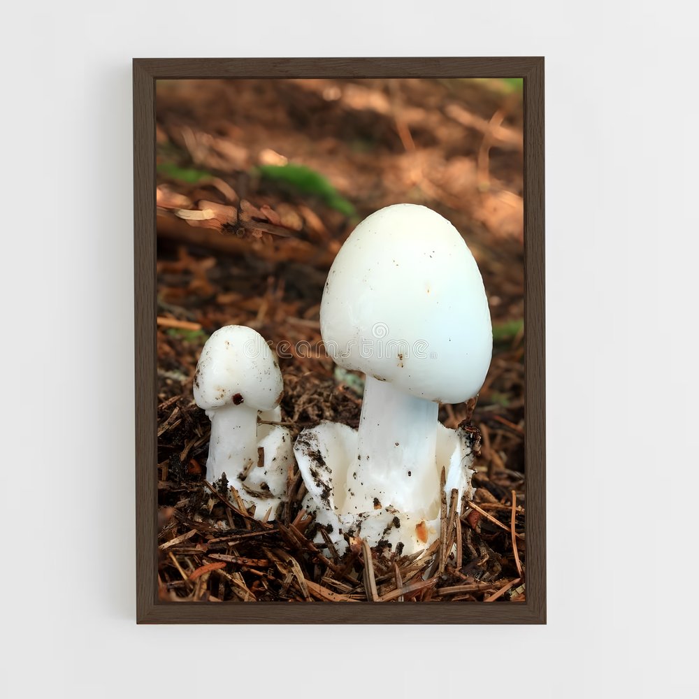 ap-destroying angel-1 cadre Bois foncé