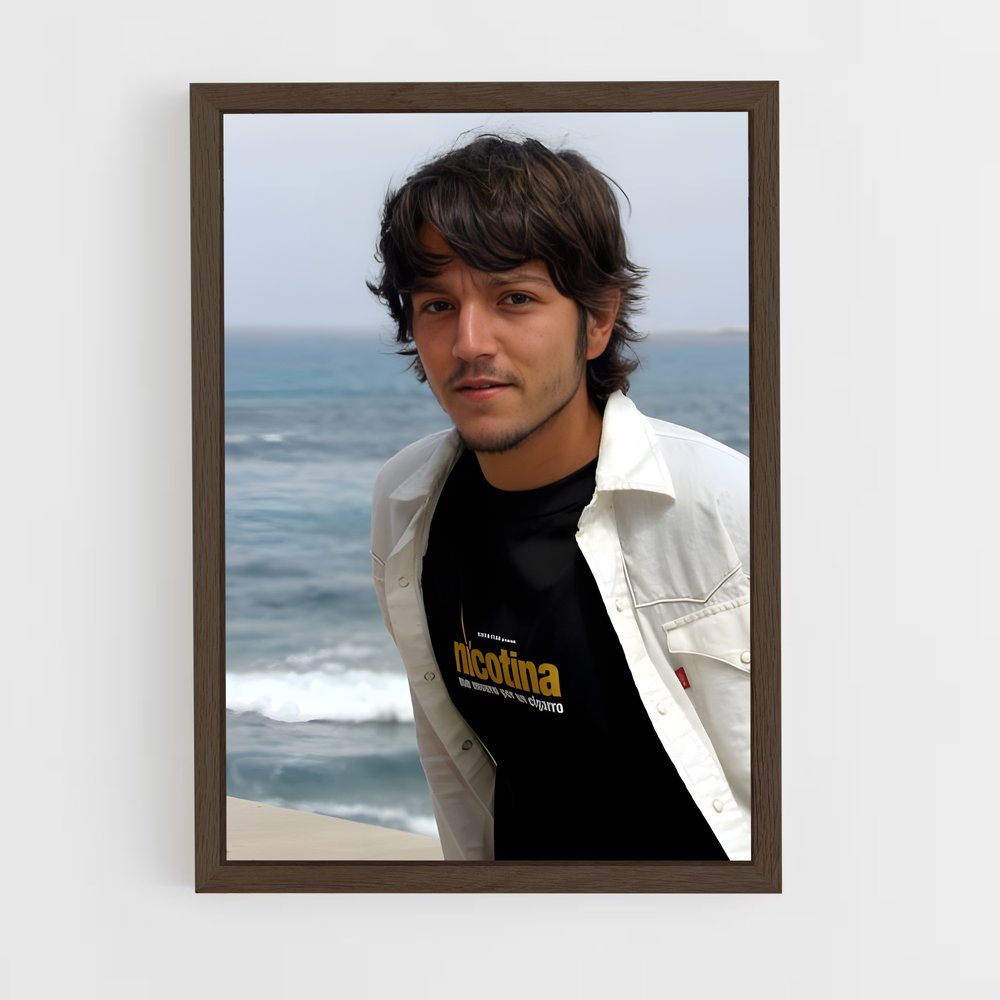 ap-diego luna-3 cadre Bois foncé