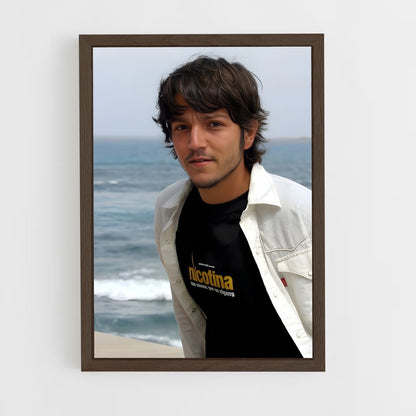 ap-diego luna-3 cadre Bois foncé