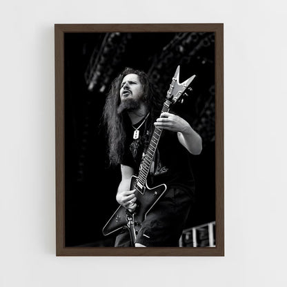 ap-dimebag darrell-4 cadre Bois foncé