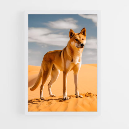 ap-dingo-3 cadre Blanc