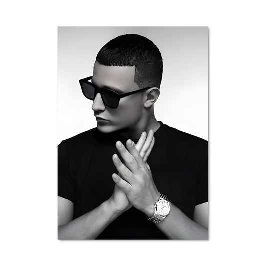 Poster DJ Snake Vibes