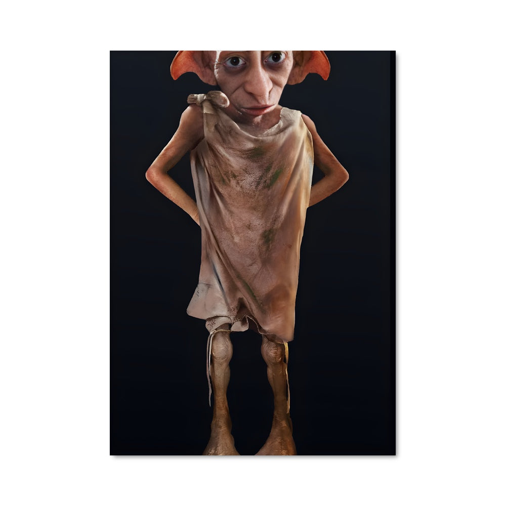 Poster Dobby le Félin