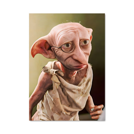 Poster Dobby le Malin