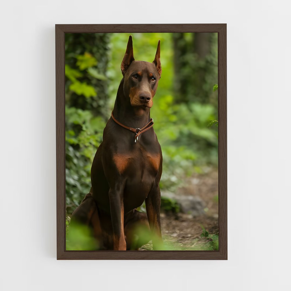 ap-doberman pinscher-3 cadre Bois foncé