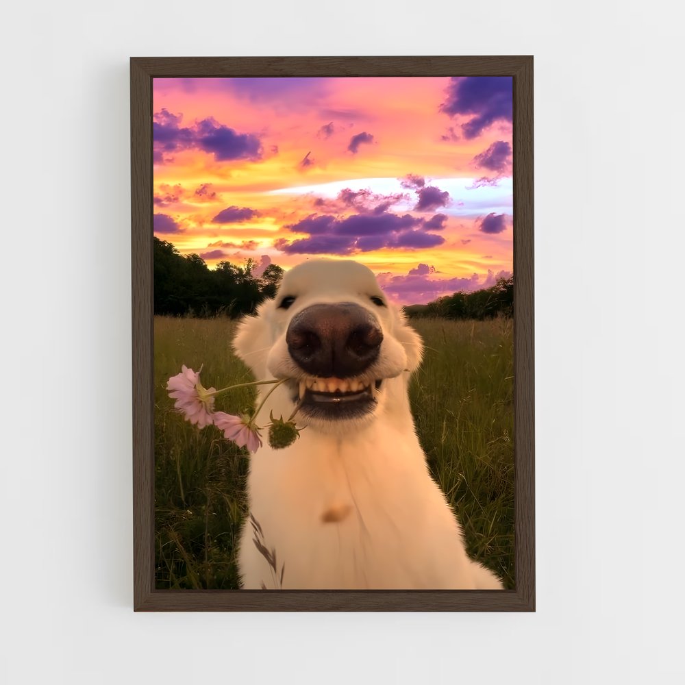 ap-doge-5 cadre Bois foncé