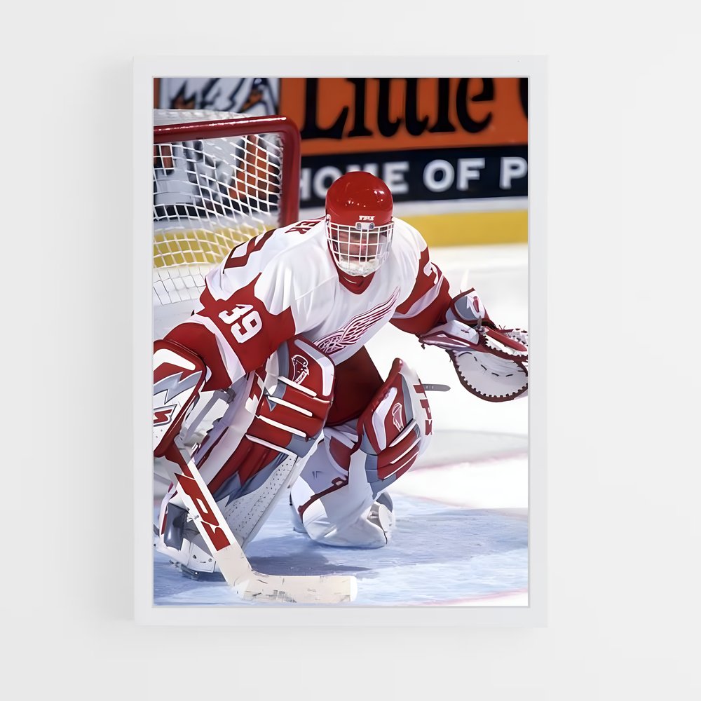ap-dominik hasek-1 cadre Blanc
