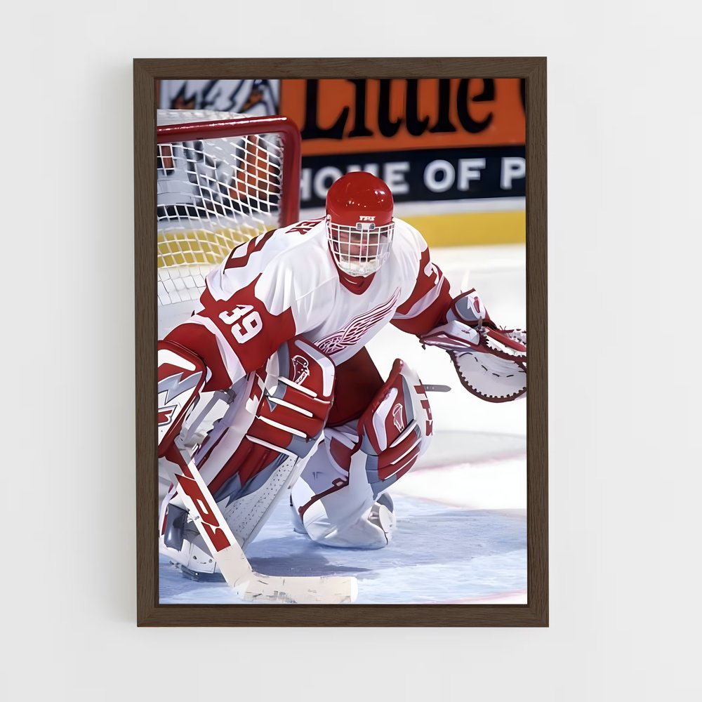 ap-dominik hasek-1 cadre Bois foncé
