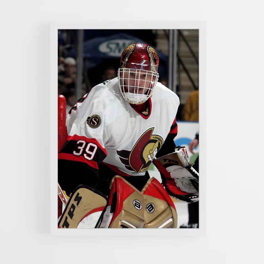 ap-dominik hasek-11 cadre Blanc