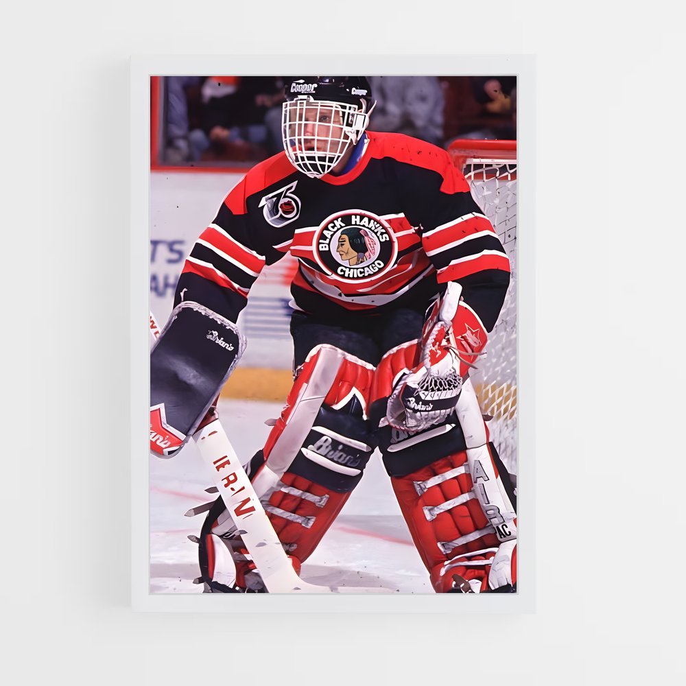 ap-dominik hasek-2 cadre Blanc