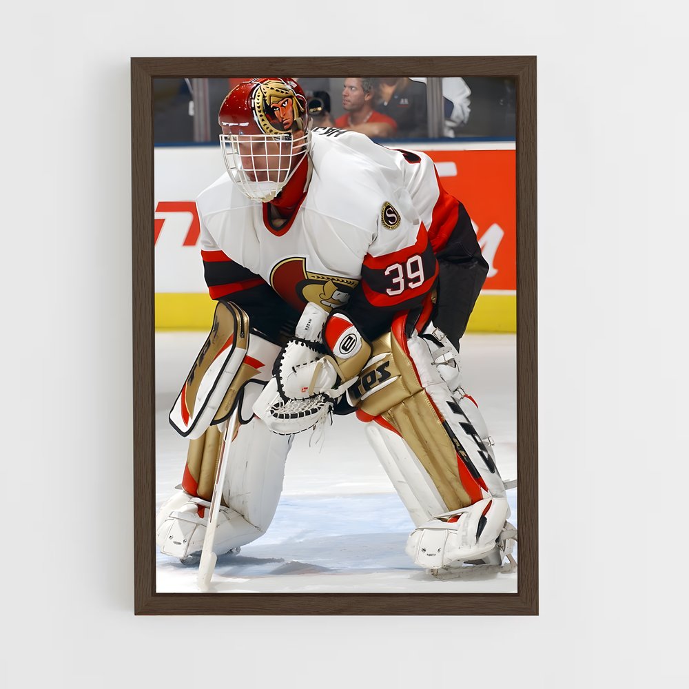 ap-dominik hasek-5 cadre Bois foncé