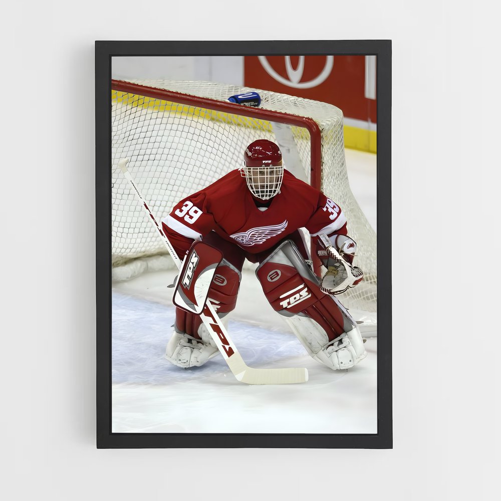 ap-dominik hasek-6 cadre Noir