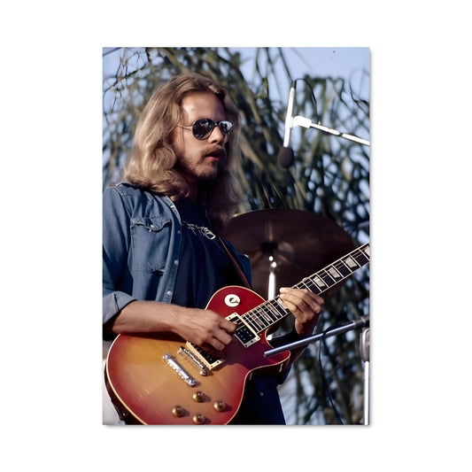 Poster Don felder 55593