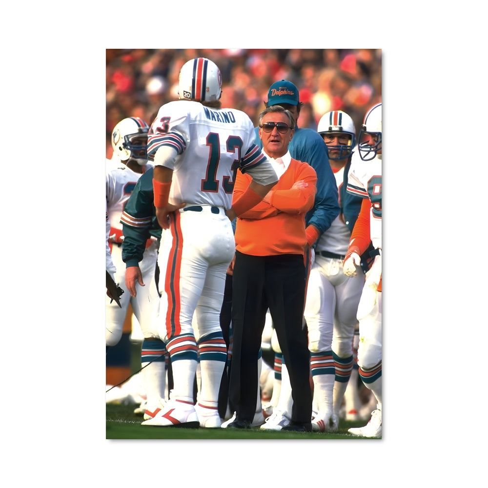 Poster Coach des Dolphins