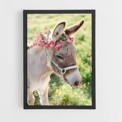 ap-donkey-8 cadre Noir
