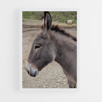ap-donkey-9 cadre Blanc