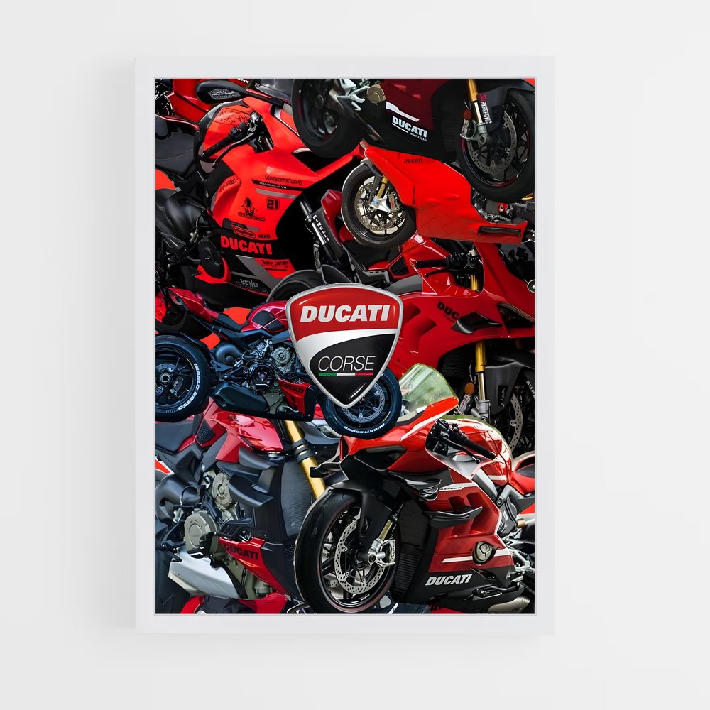 ap-ducati-5 cadre Blanc
