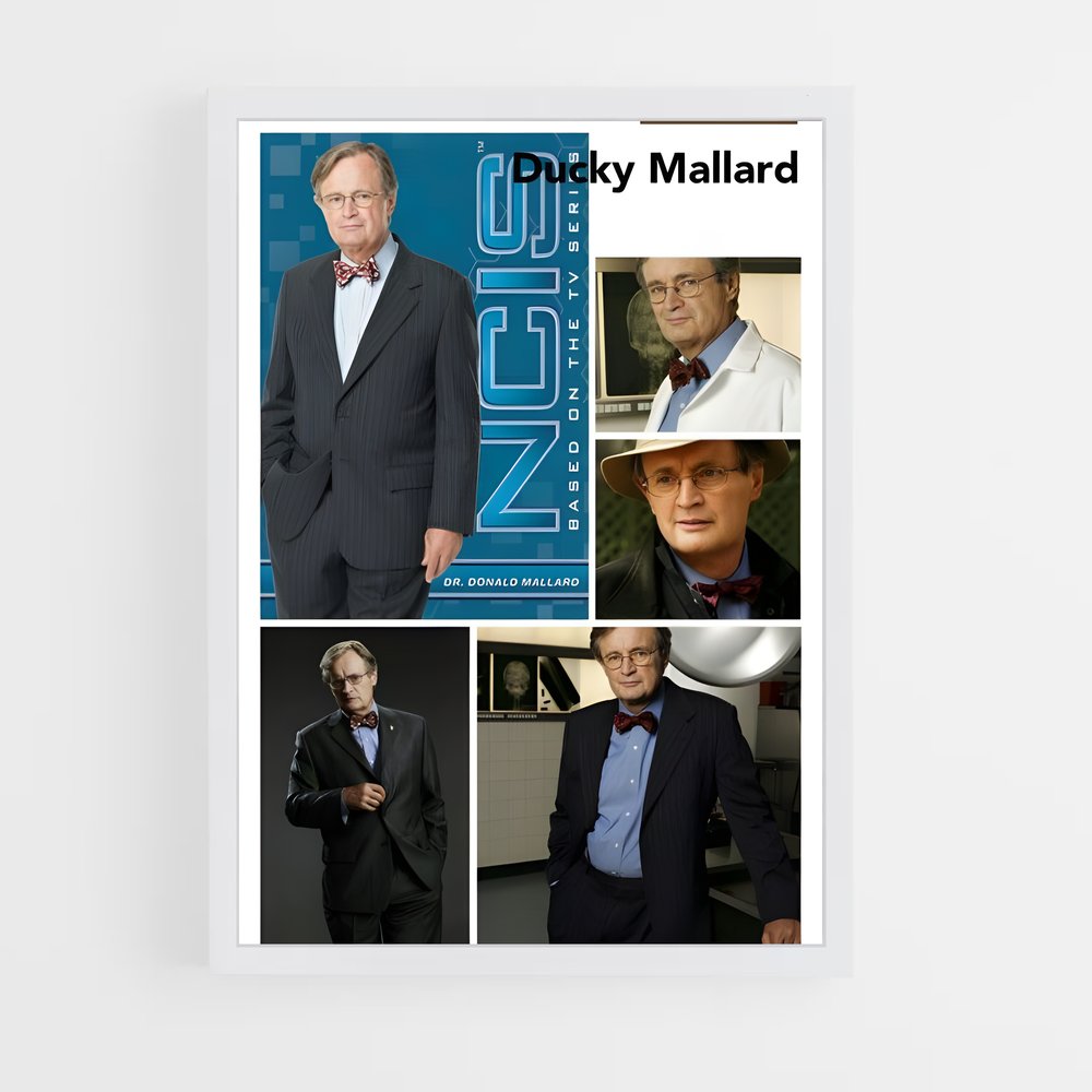 ap-ducky mallard-3 cadre Blanc